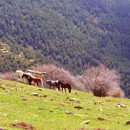 Albergue De Acumuer